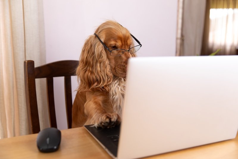 Businesses Should Focus on Earning Reviews, Not Manufacturing Them