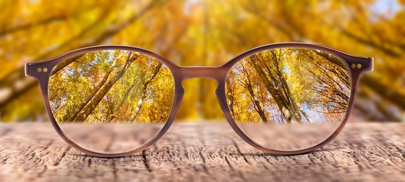 View through eyeglasses to nature website visibility