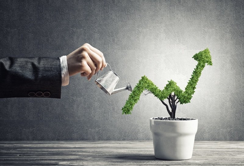Should You Do Your Marketing In-House or Hire a Marketing Agency?